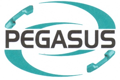 Pegasus Telekom – Logo